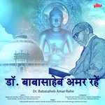 Dr. Baba Saheb Amar Rahe - Anwar Jani Qawwal Song Download